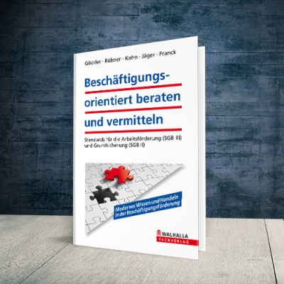 Coverabbildung Buch Beschäftigungsorientiert beraten und vermitteln