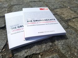 Die Grundrechte - 2 Bücher auf einem Kopfsteinpflaster